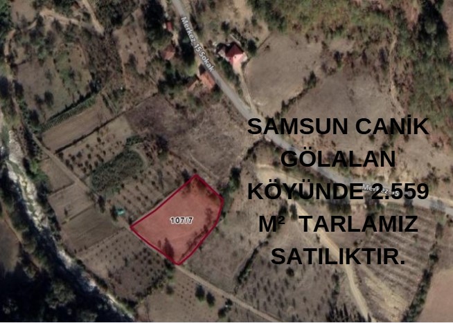 SAMSUN CANİK GÖLALAN KÖYÜNDE 2.559  M²  TARLAMIZ SATILIKTIR. - SAMSUN CANİK fotoğraf 4